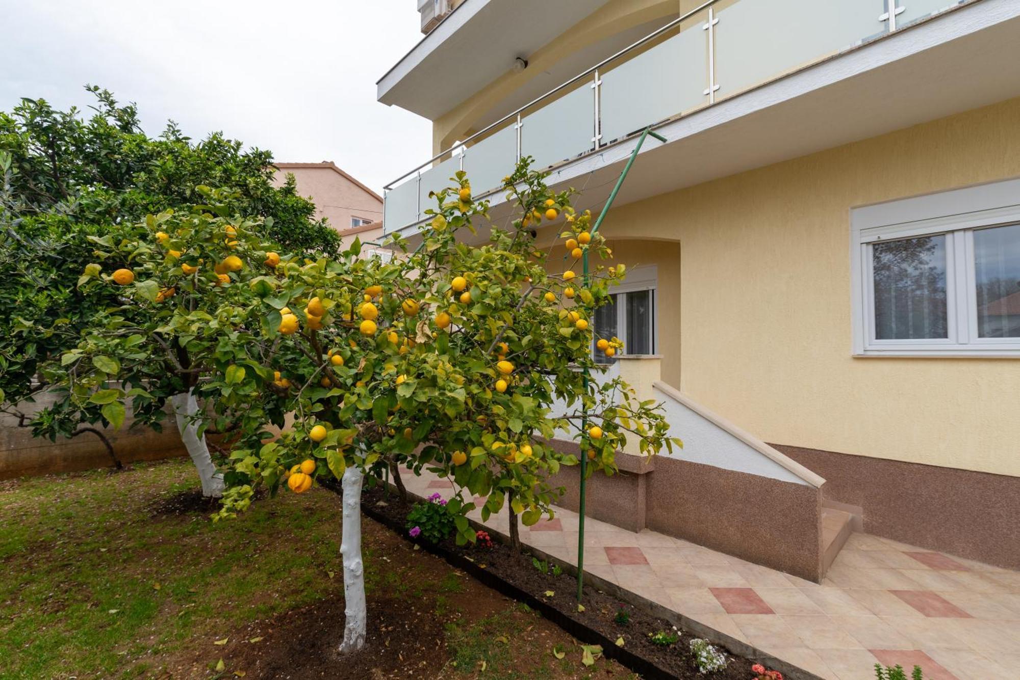 Villa K&F Borik Zadar Ngoại thất bức ảnh