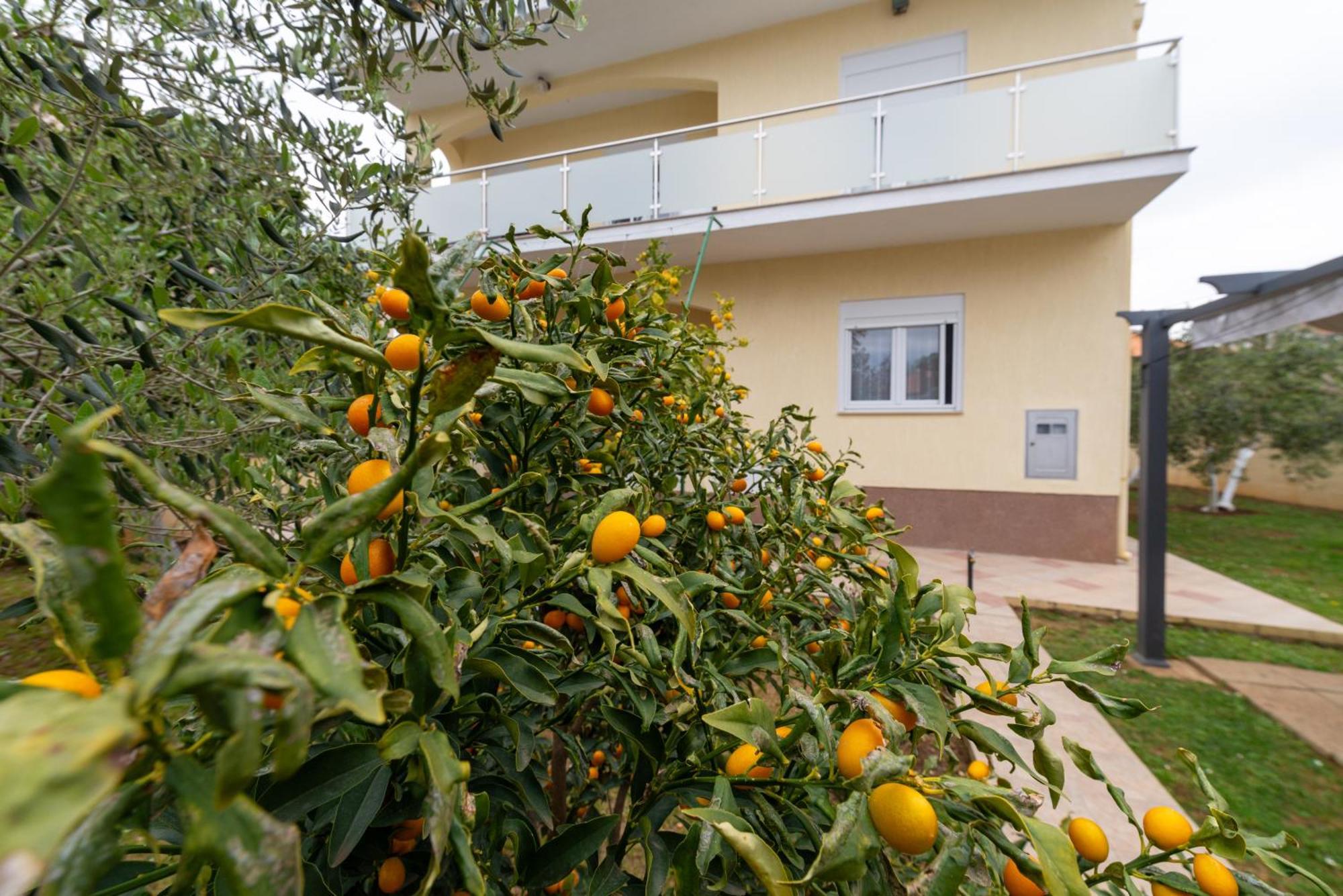 Villa K&F Borik Zadar Ngoại thất bức ảnh